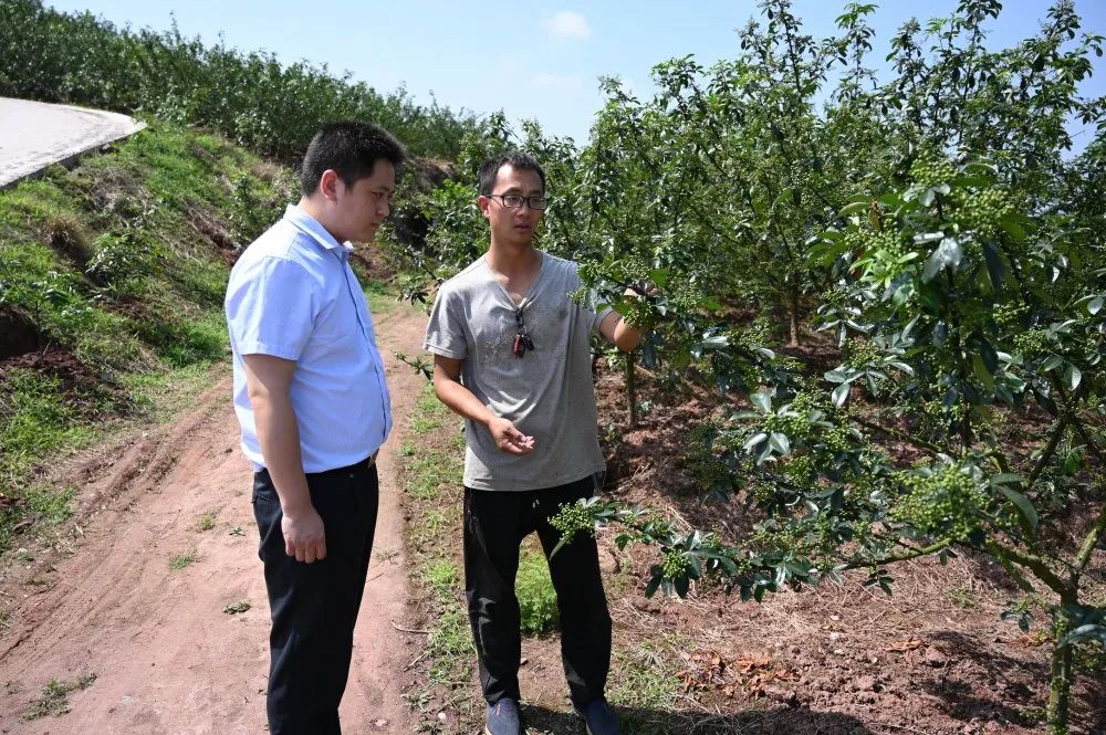 合川毛荣志的最新动向与成就探索