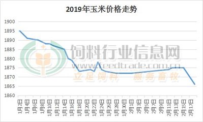 山东聊城玉米价格动态分析与预测